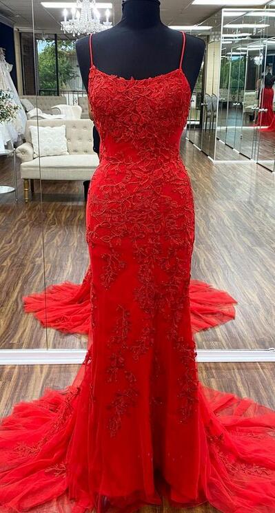 New Style Mermaid Lace Prom Dress Long ,Formal Dress, Evening Gown, Party Dresses PC1093